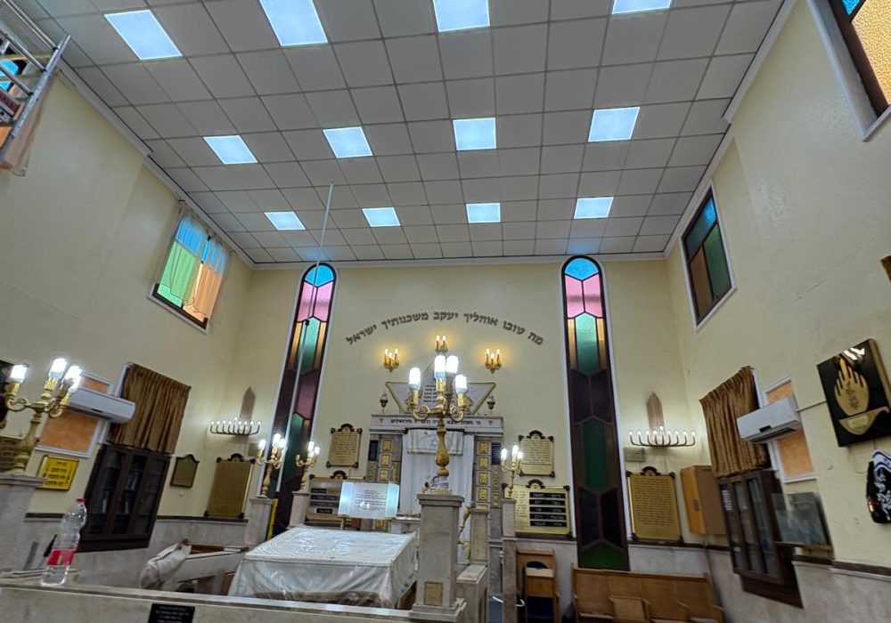 WhatsApp Image 2026-01-13 at 11.37.08